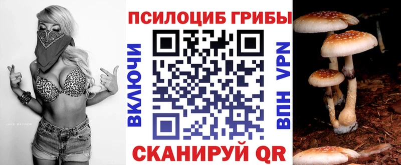 Псилоцибиновые грибы Magic Shrooms  Новоалександровск 